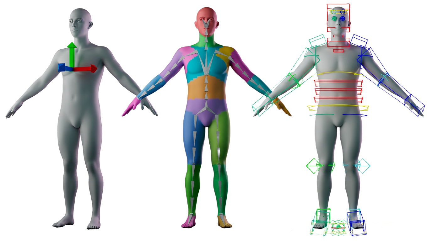 Character base mesh, skin weight map, and rig control curves side by side