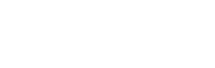 Digital Domain
